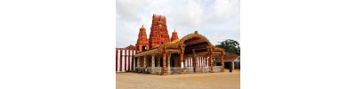 இணுவில் கந்தசுவாமி கோயில் - யாழ்ப்பாணம்